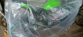 Kawasaki ninja ZX 250
