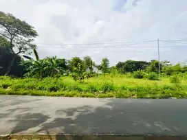 TANAH MURAH MOJOGEDANG