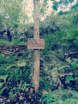 HARUS TERJUAL TANAH 60.000 M² DI GUNUNG KIDUL - LOKASI STRATEGIS