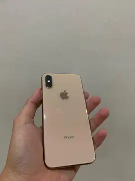 Iphone Xs Gold 256 GB (inter)
