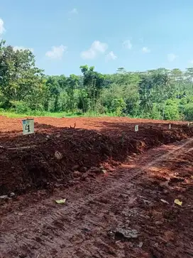 Kavling Ngrembel Gunungpati Semarang  bisa tempo