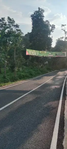 TANAH MURAH PINGGIR JALAN RAYA TEMPEL KANTOR KECAMATAN