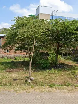 TANAH KAVLING JALAN JAWA KAMPUS JEMBER