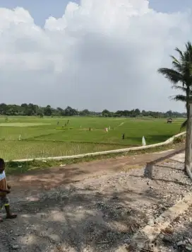 Disewakan tanah di mekarwangi dangdang