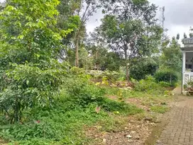 Kami tawarkan Tanah cocok buat hunian ataupun kos-kosan 