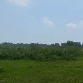 Lahan Industri di Jababeka luas 15ha Harga negosiable
