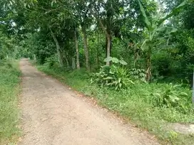 tanah di cikaum subang murah dekat taman anggur dan dekat tol
