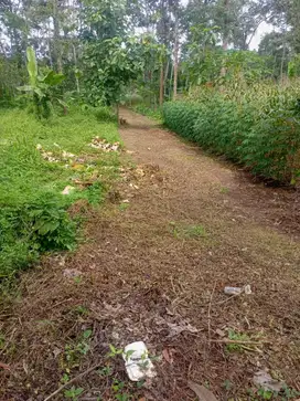 TANAH ZONA KUNING COCOK BUAT GUDANG/PERUMAHAN, MIJEN, SEMARANG