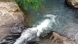 Tanah murah los sungai view laut kebun manggis dan durian