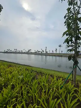 kavling rumah pik 2 dijual termurah uk 360 m2 pasir putih view danau