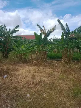Dijual tanah darat Wanasari Cibitung Bekasi