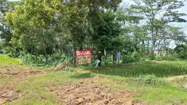 D Jual Tanah Kapling, SHM