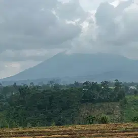 tanah di pelaga dekat pabrik wine view gunung