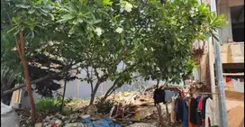 DIJUAL TANAH PERMATA BUANA KEMBANGAN JAKARTA BARAT