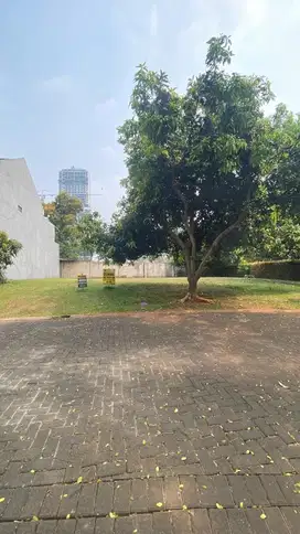 Dijual Kavling Bentuk Kotak Hoek Pojok! Foresta BSD City