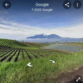 Dijual Tanah Wisata Bukit Jengkoang Zona Hijau Malang