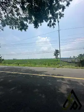 Dijual tanah industri lokasi Caruban Madiun, Luas 15 Ha Harga Murah