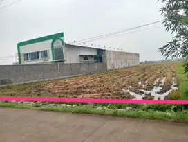 tanah zona merah murah harga bawah pasar