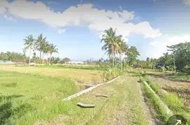 Tanah Murah View Merapi SHM di Pakem
