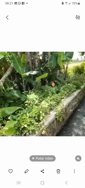 Jual murah b.u. Bisa Kredit/  Cash Tanah  belakang pertokoan Srono