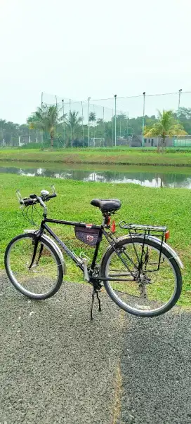 Sepeda Federal Streetcat FC3xx