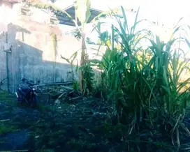 DIJUAL TANAH KONTUR DATAR SIAP BANGUN LOKASI SEMPIDI BADUNG