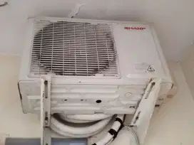 Ac sharp 1/2pk r32