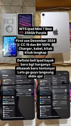 Ipad mini 7 Ibox 256GB Purple