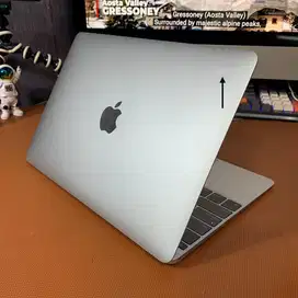 Macbook Retina 12inch 2015 M/8/500GB Silver