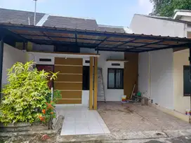 Dikontrakan Rumah