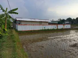 DIJUAL KANDANG KAMBING DAERAH CITALANG