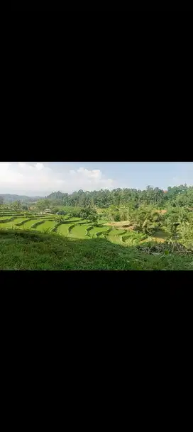 Tanah Sawah 2800 m, Untuk camping ground, Bojong, Purwakarta.
