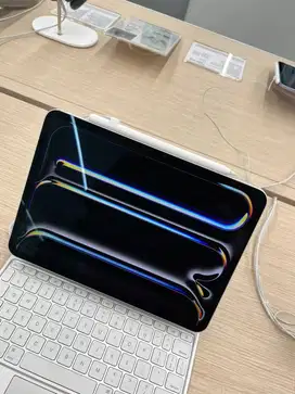 IPAD PRO M4 11 inci 256GB WIFI