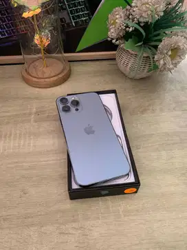 IPHONE 13 PRO MAX INTER