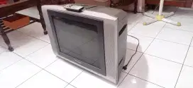 TV  merk Panasonic