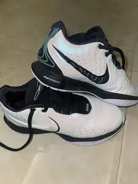 NIKE LEBRON 21 CONCHIOLIN BASKETBALL SEPATU BASKET PRELOVED LIKE NEW