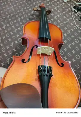 Biola rawatan merk Vienna solidwood 3/4