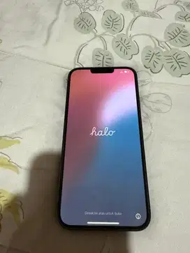 Iphone 13 Pro max 256gb Graphite Inter