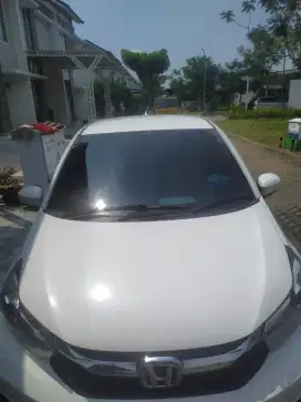 Brio New S 2019