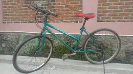 Sepeda polygon bekas