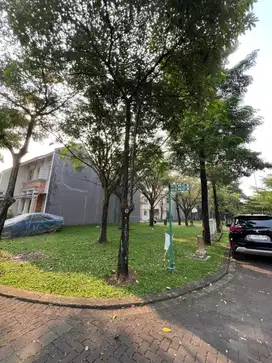 Kaving hook di Hylands, Greenwich BSD City