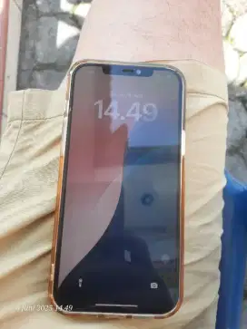 Ilhone 12 PM 128GB BH 83%