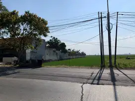 Lahan Sawah Di Rancaengkek Bandung Jabar
