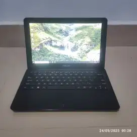 Notebook Asus E202S