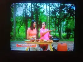 Tv tabung 21 Sharp Alexander slim II