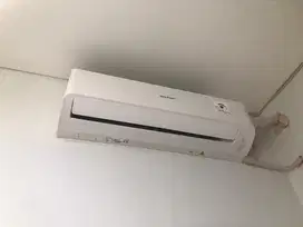 Ac Sharp 1/2 PK