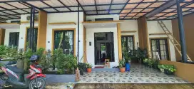 Rumah di Sewakan