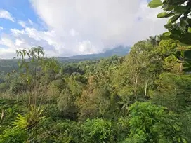 Dijual tanah kebun durian dengan view gunung yang cantik di bali