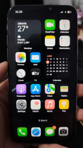 JUAL IPHONE X 256GB