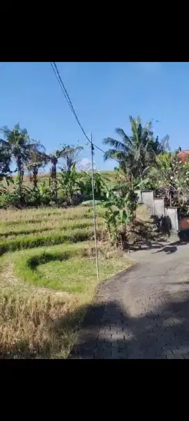 Dijual tanah murah,22,4 are di tumbak bayuh canggu dekat pererenan
